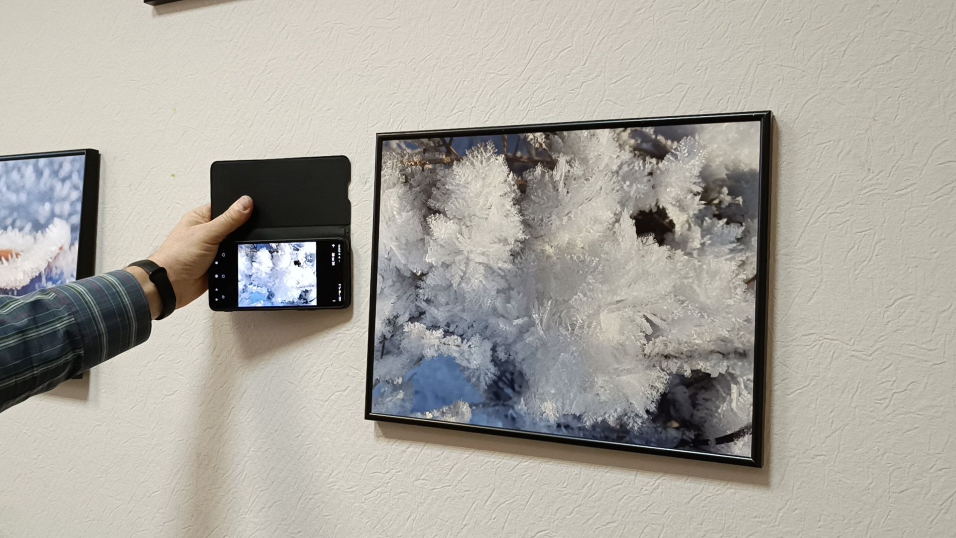 фотография, выставка, зима, библиотека,