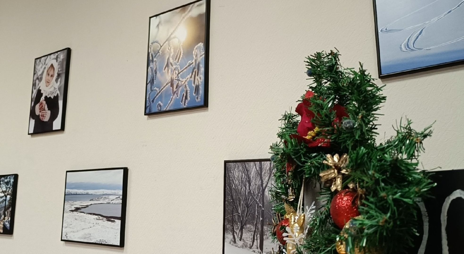 фотография, выставка, зима, библиотека,