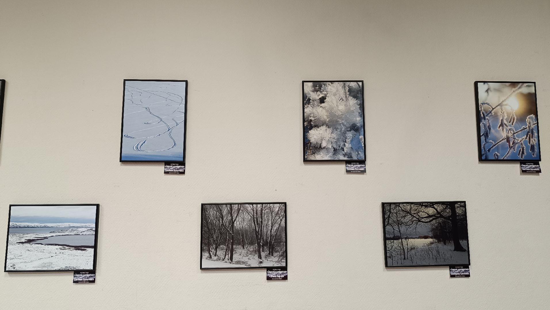 фотография, выставка, зима, библиотека,