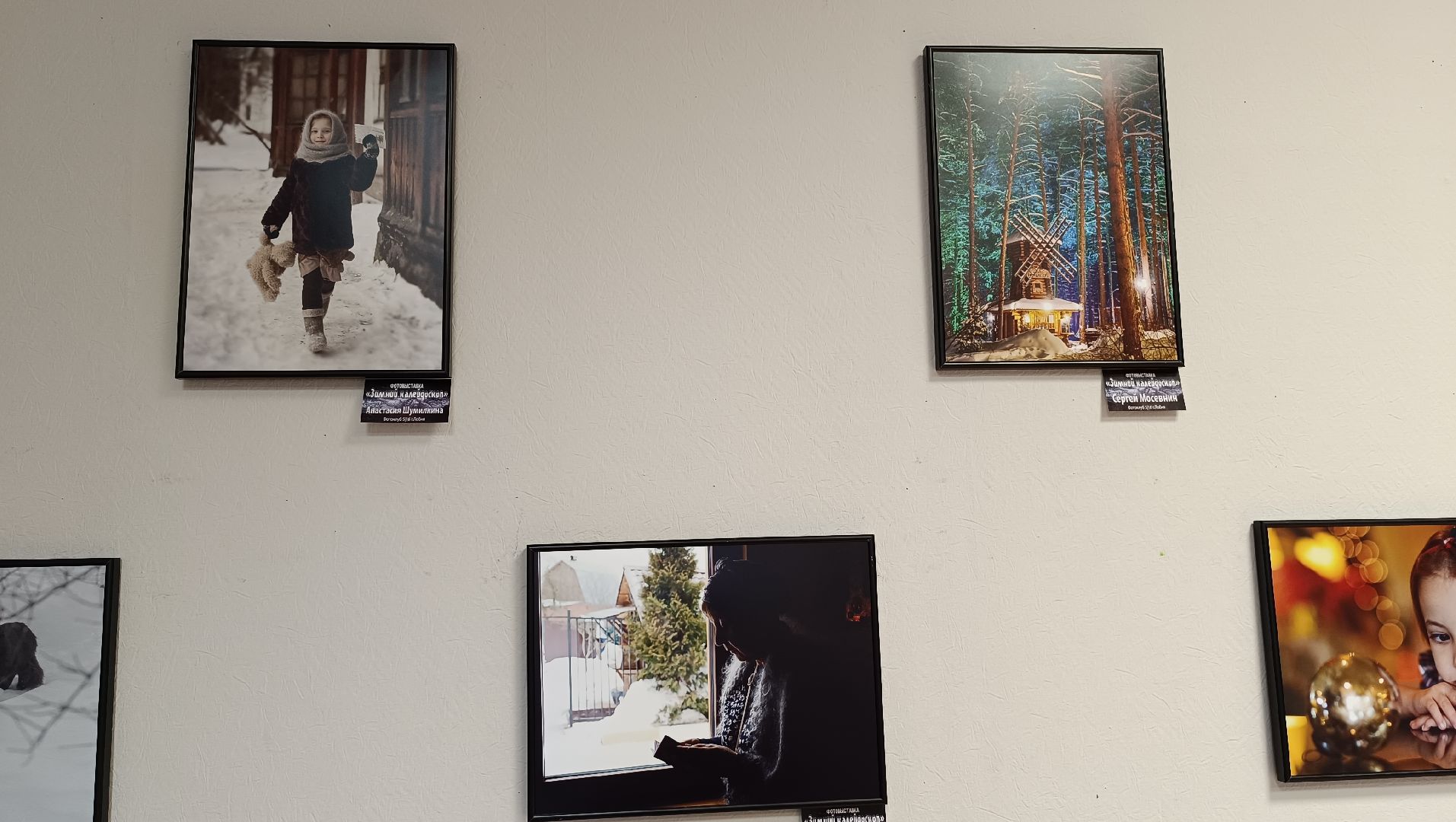 фотография, выставка, зима, библиотека,