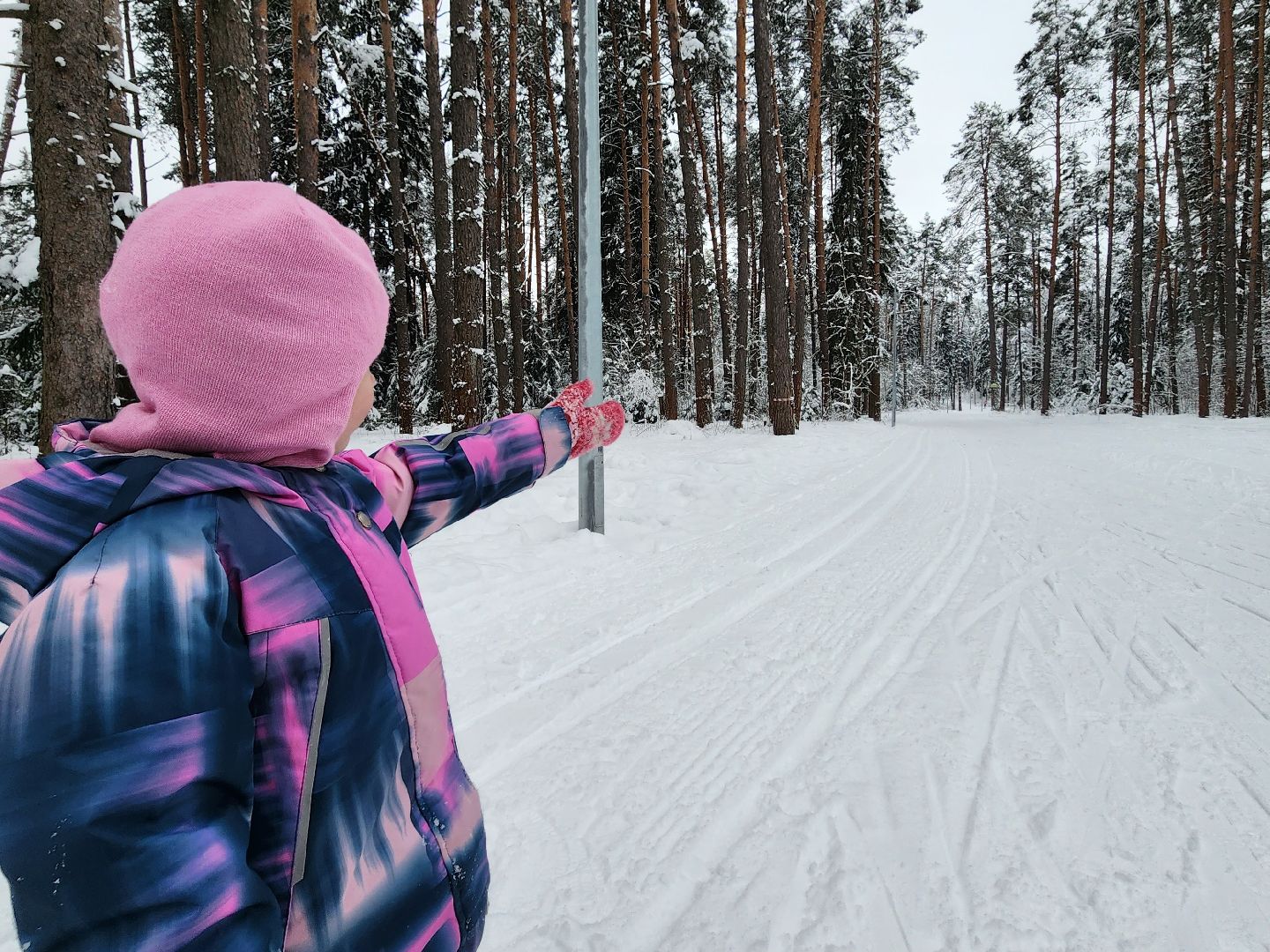 лыжная трасса, Егорьевск, Подмосковье, московская область,