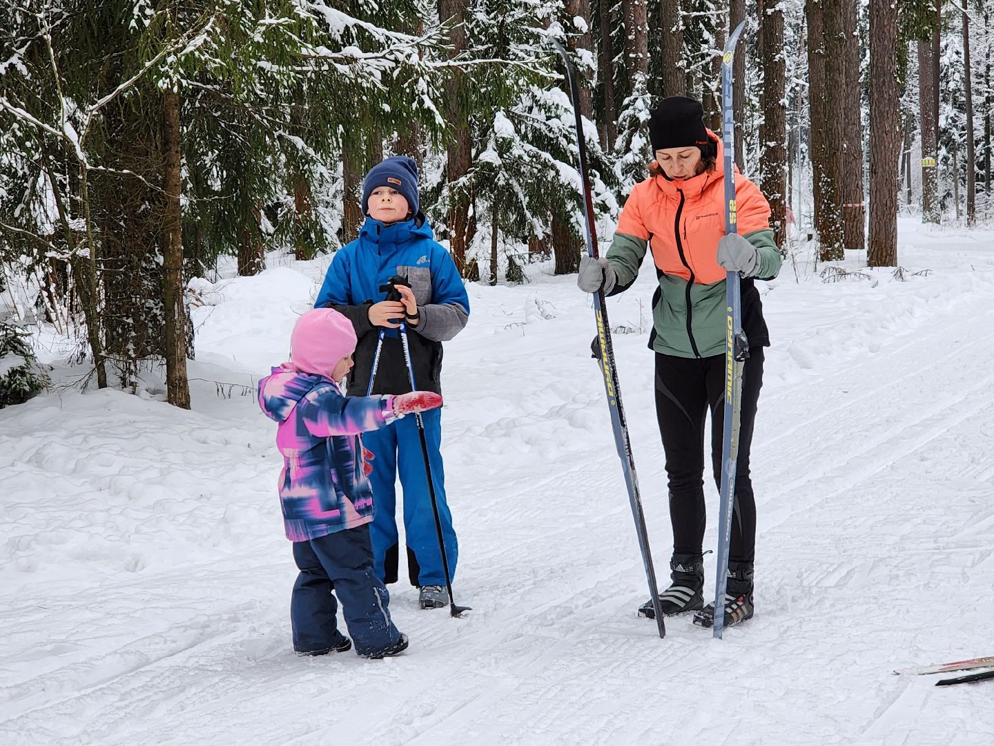 лыжная трасса, Егорьевск, Подмосковье, московская область,