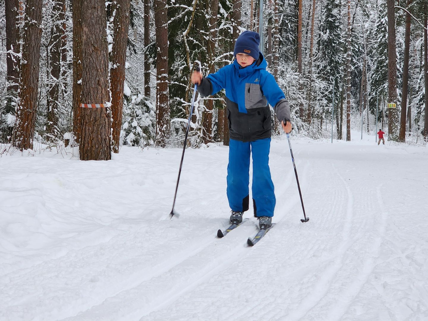 лыжная трасса, Егорьевск, Подмосковье, московская область,
