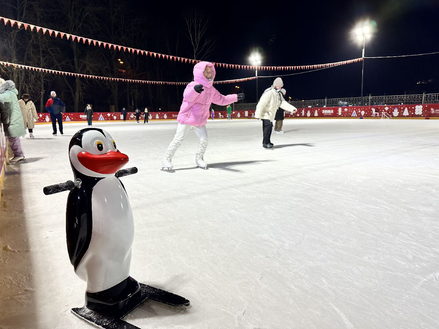 каток в парке, наро-фоминск,