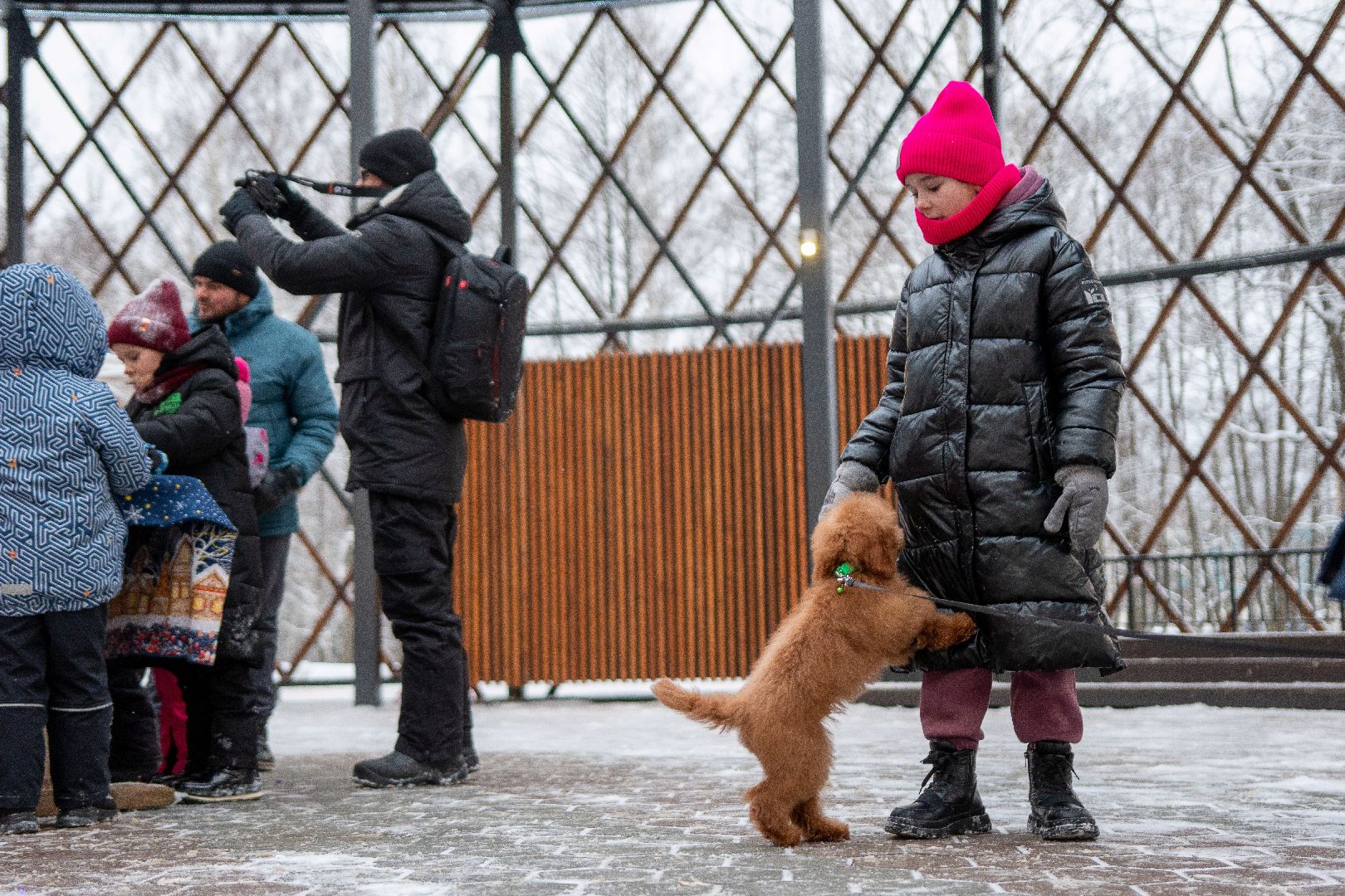 Егорьевск, Парк, 200 лет Егорьевску, Праздник, праздник чудес, чудеса, новый год, рождество,