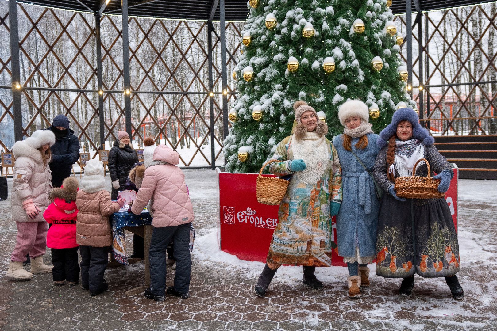 Егорьевск, Парк, 200 лет Егорьевску, Праздник, праздник чудес, чудеса, новый год, рождество,