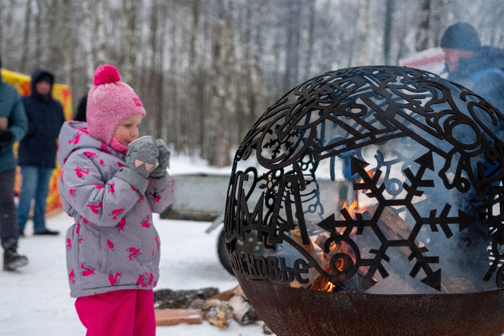Егорьевск, Парк, 200 лет Егорьевску, Праздник, праздник чудес, чудеса, новый год, рождество,
