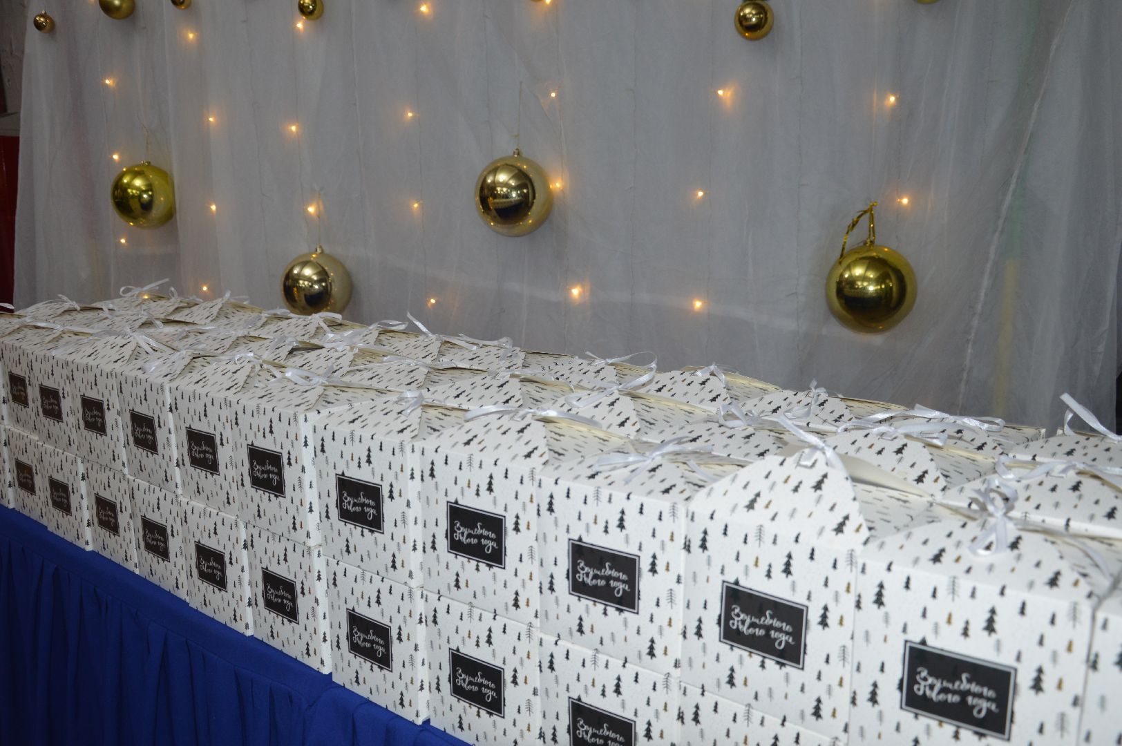 шатура, городской дом культуры, городской округ культура, городской округ люди, спектакль, сцена, рождество, нариманова, дорога в рождество, 2024, новый год,