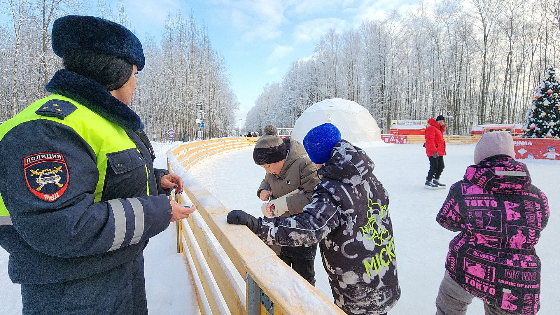 электросталь, мой город, гибдд, госавтоинспекция, госавтоинспекторы, безопасность детей, безопасность дорожного движения, безопасность на дорогах, парк, новый год, каникулы,