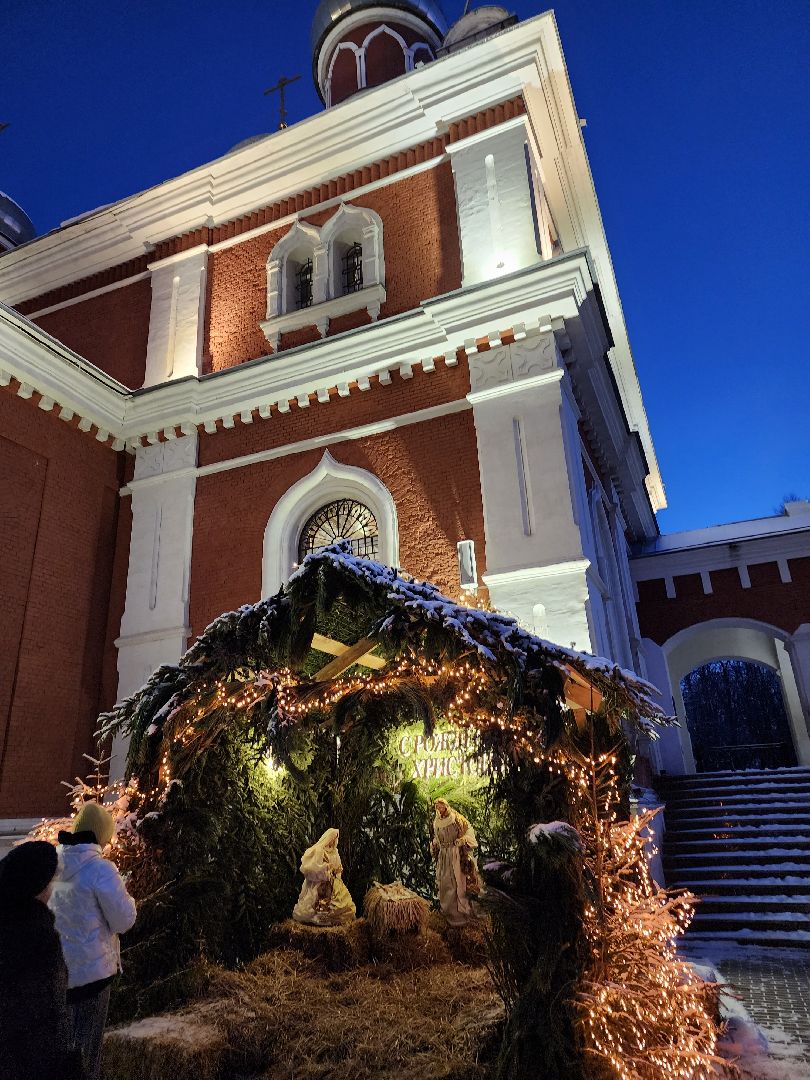 Серпухов, Подмосковье, Умягчение злых сердец, Рождество, Православие,