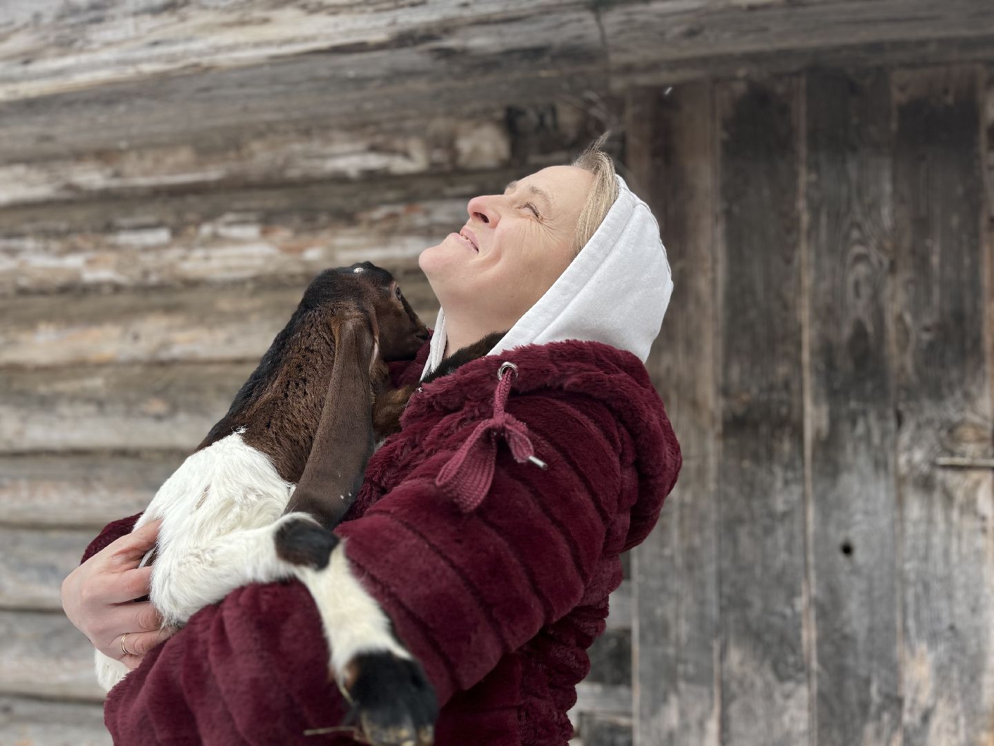 шаховская, козы, ферма, фермерство, фермерское хозяйство,