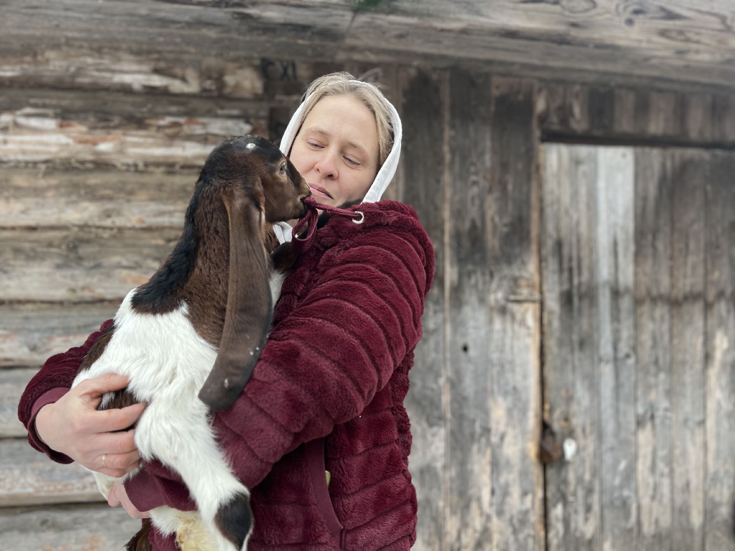 шаховская, козы, ферма, фермерство, фермерское хозяйство,