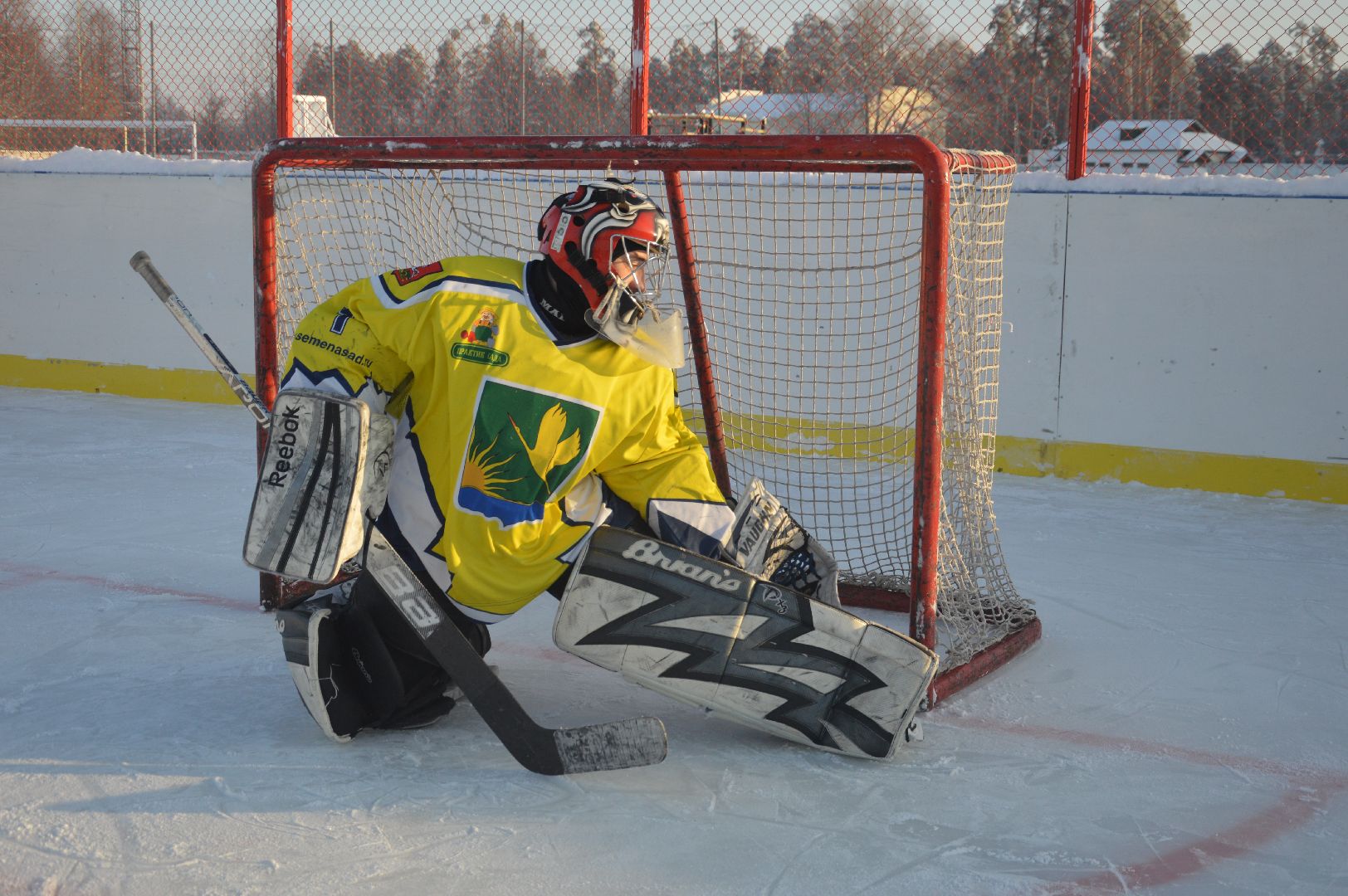 шатура, хоккей, живу спортом, турнир, турнир Шатура, городской округ спорт, городской округ люди, городской округ хоккей,