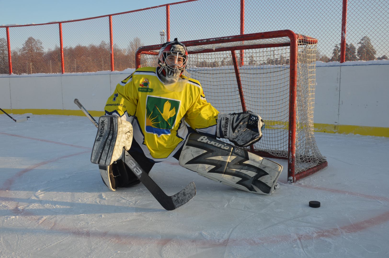 шатура, хоккей, живу спортом, турнир, турнир Шатура, городской округ спорт, городской округ люди, городской округ хоккей,