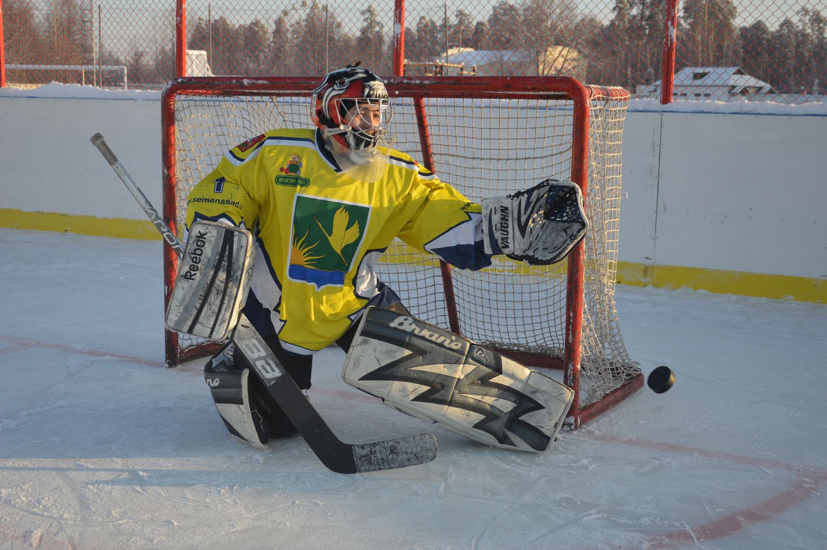 шатура, хоккей, живу спортом, турнир, турнир Шатура, городской округ спорт, городской округ люди, городской округ хоккей,