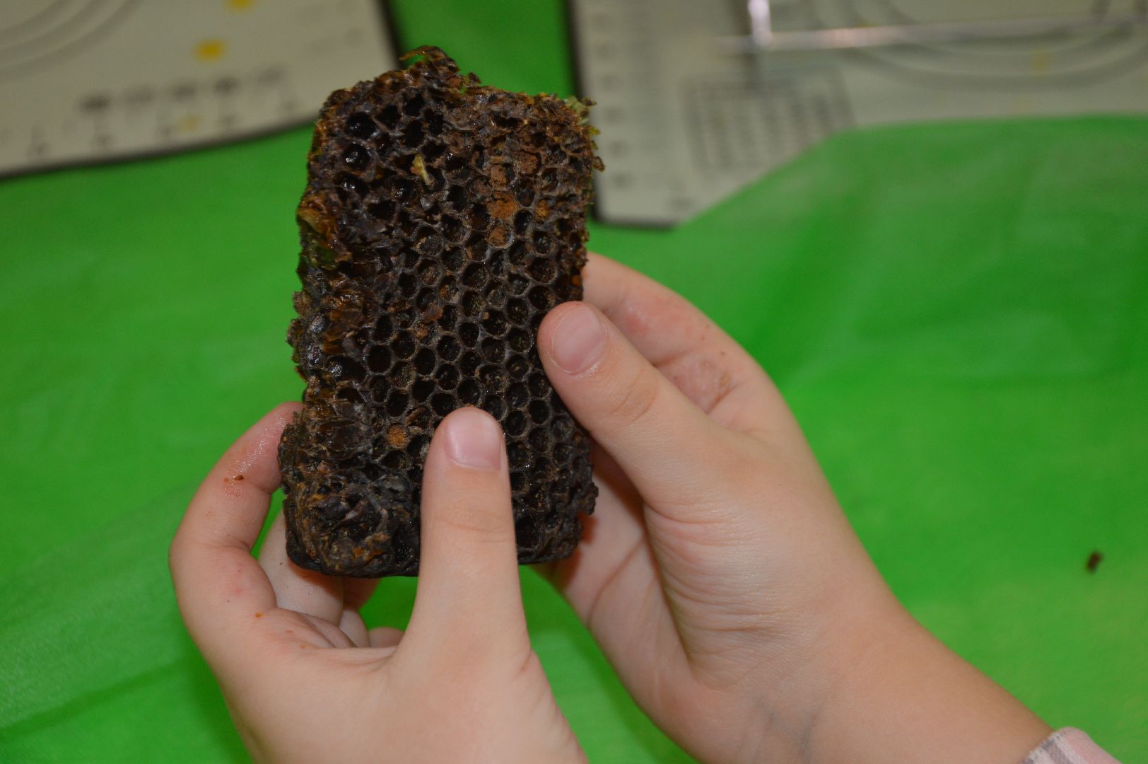 шатура, мастер-класс, макальные свечи, формованные свечи, клевер, пчеловод, воск, городской округ люди,