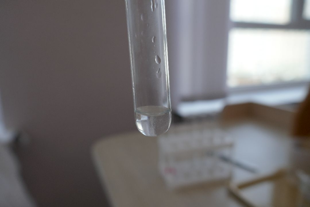 Подольск, образование, профориентация, химия, биология