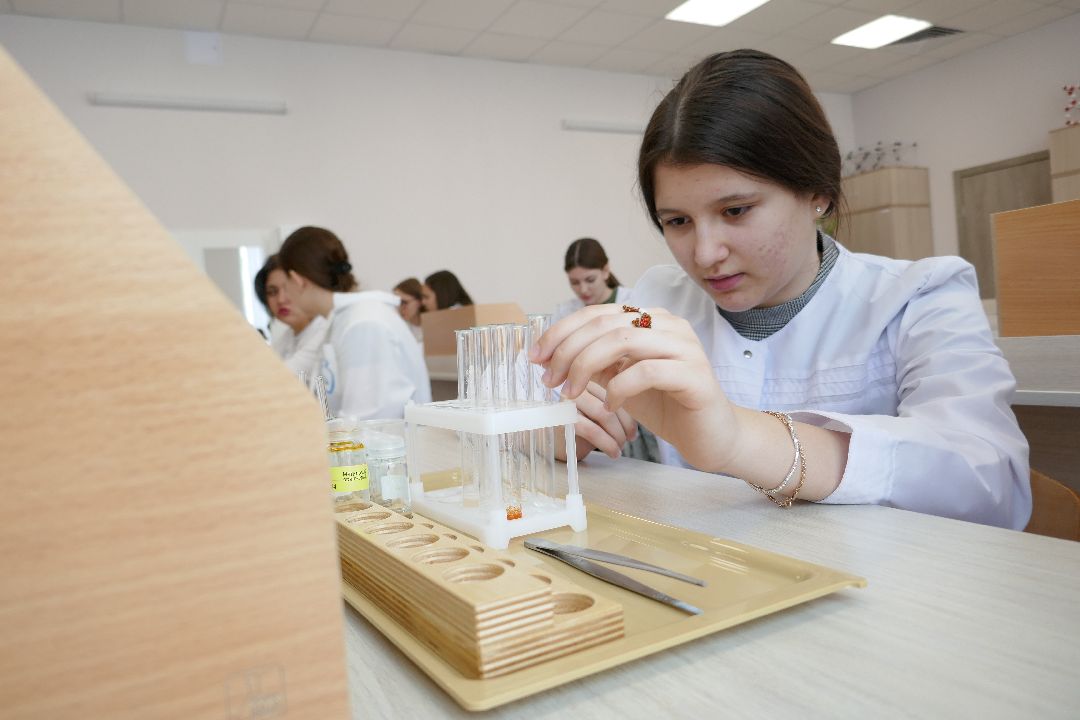 Подольск, образование, профориентация, химия, биология