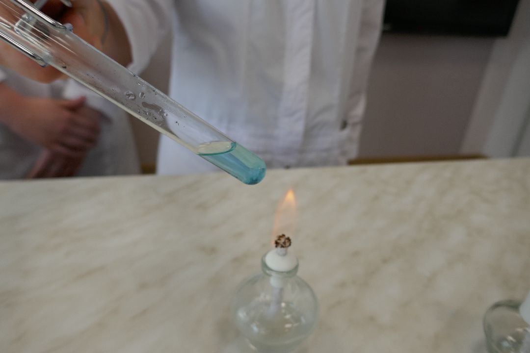 Подольск, образование, профориентация, химия, биология