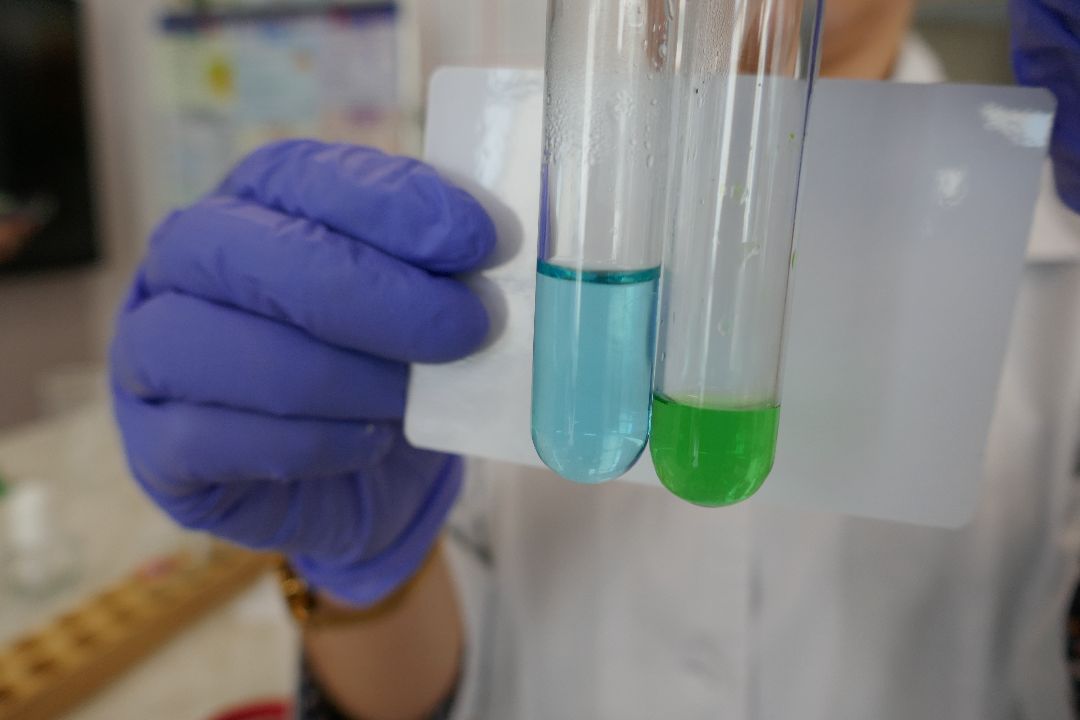 Подольск, образование, профориентация, химия, биология