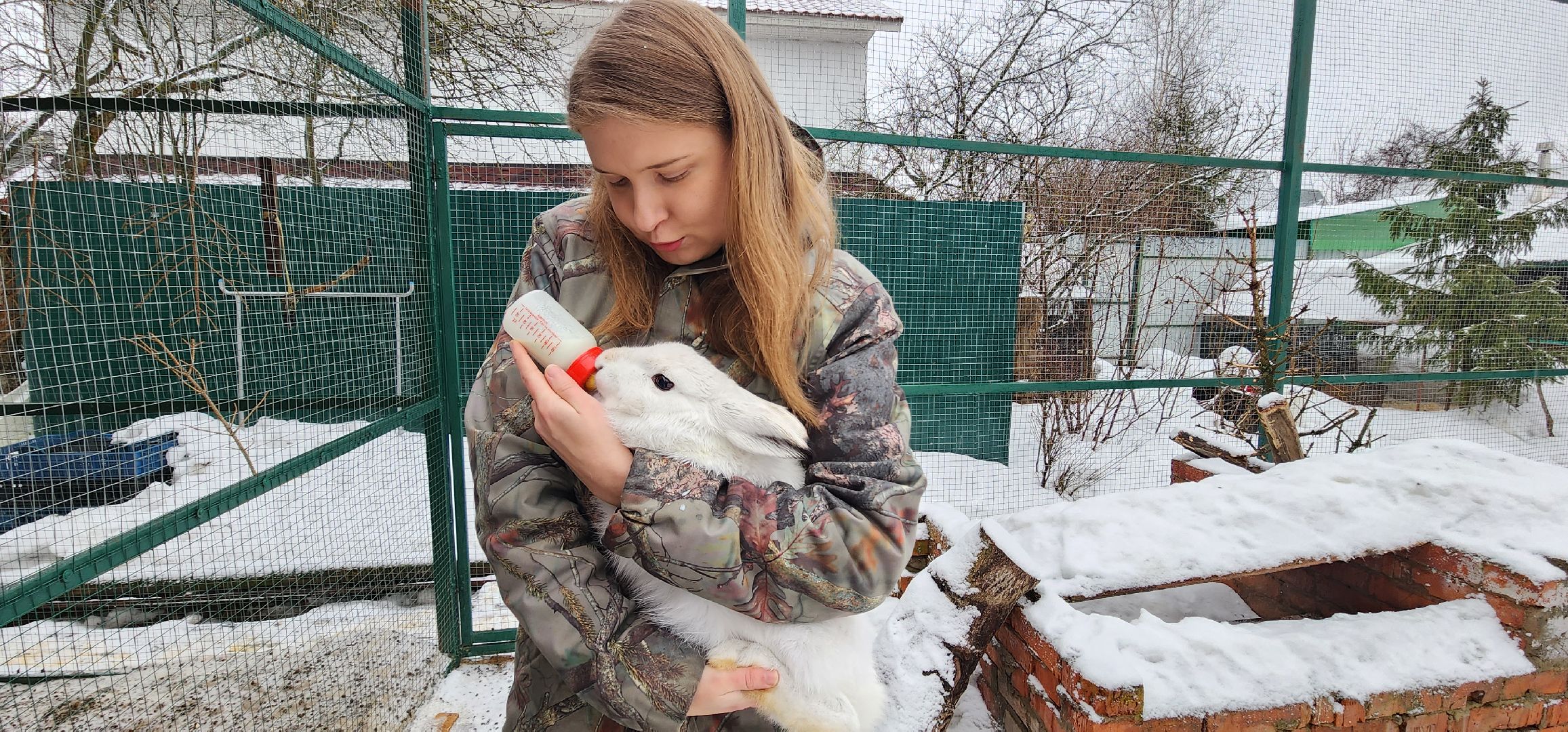 подмосковье, домодедово, животные, заяц, московская область, помощь животным,