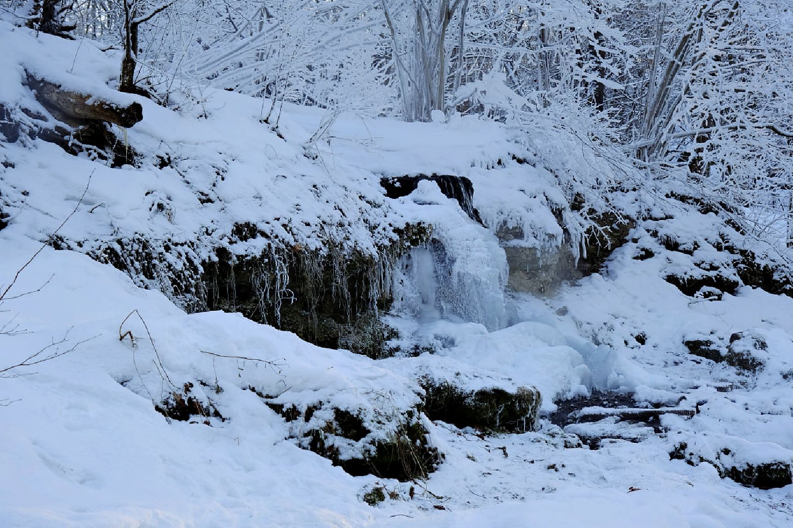 Пущино, экология, туризм, зима, подмосковье,