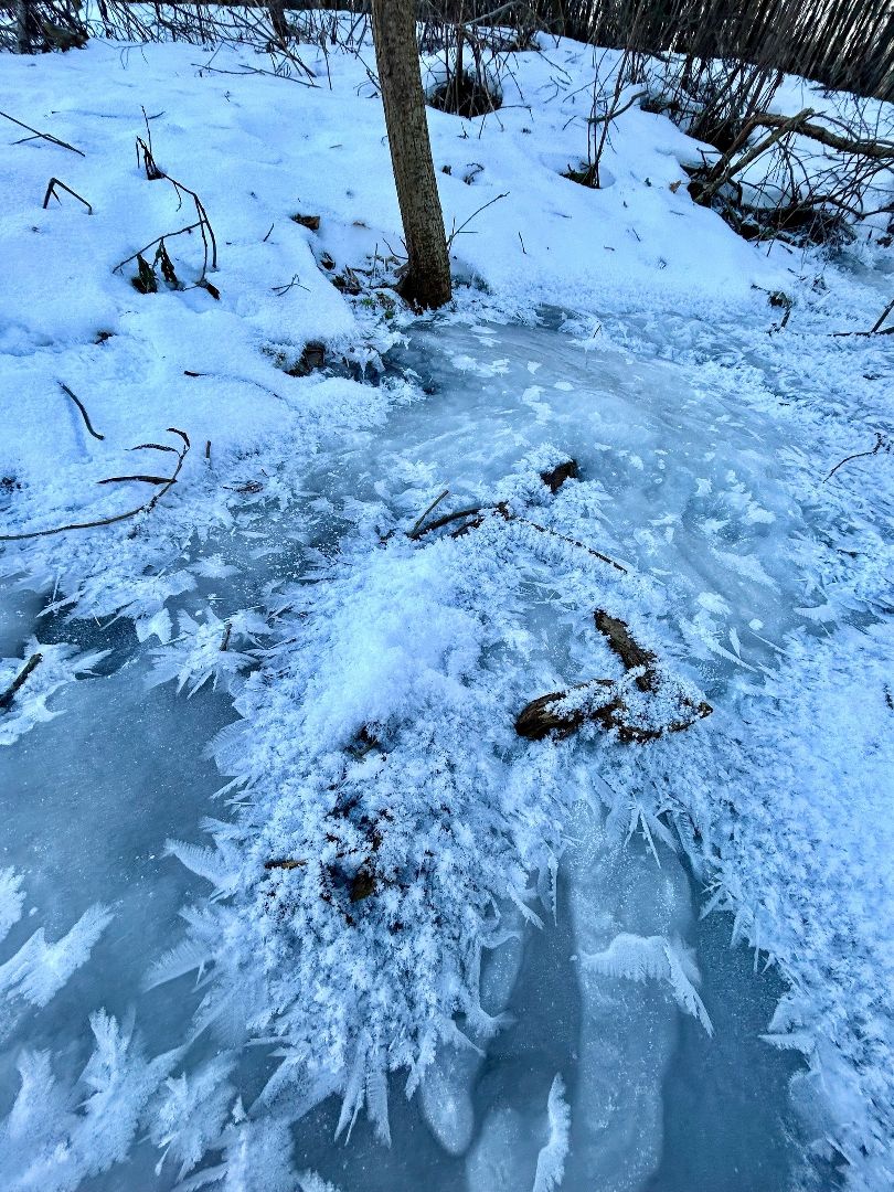 Пущино, экология, туризм, зима, подмосковье,