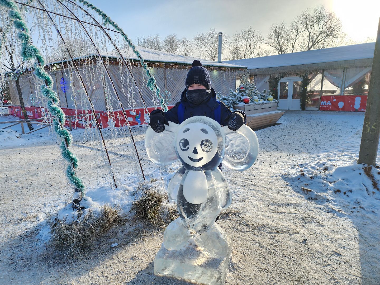 Серпухов, Подмосковье, Рождественские елки Федерации бокса РФ, дети,