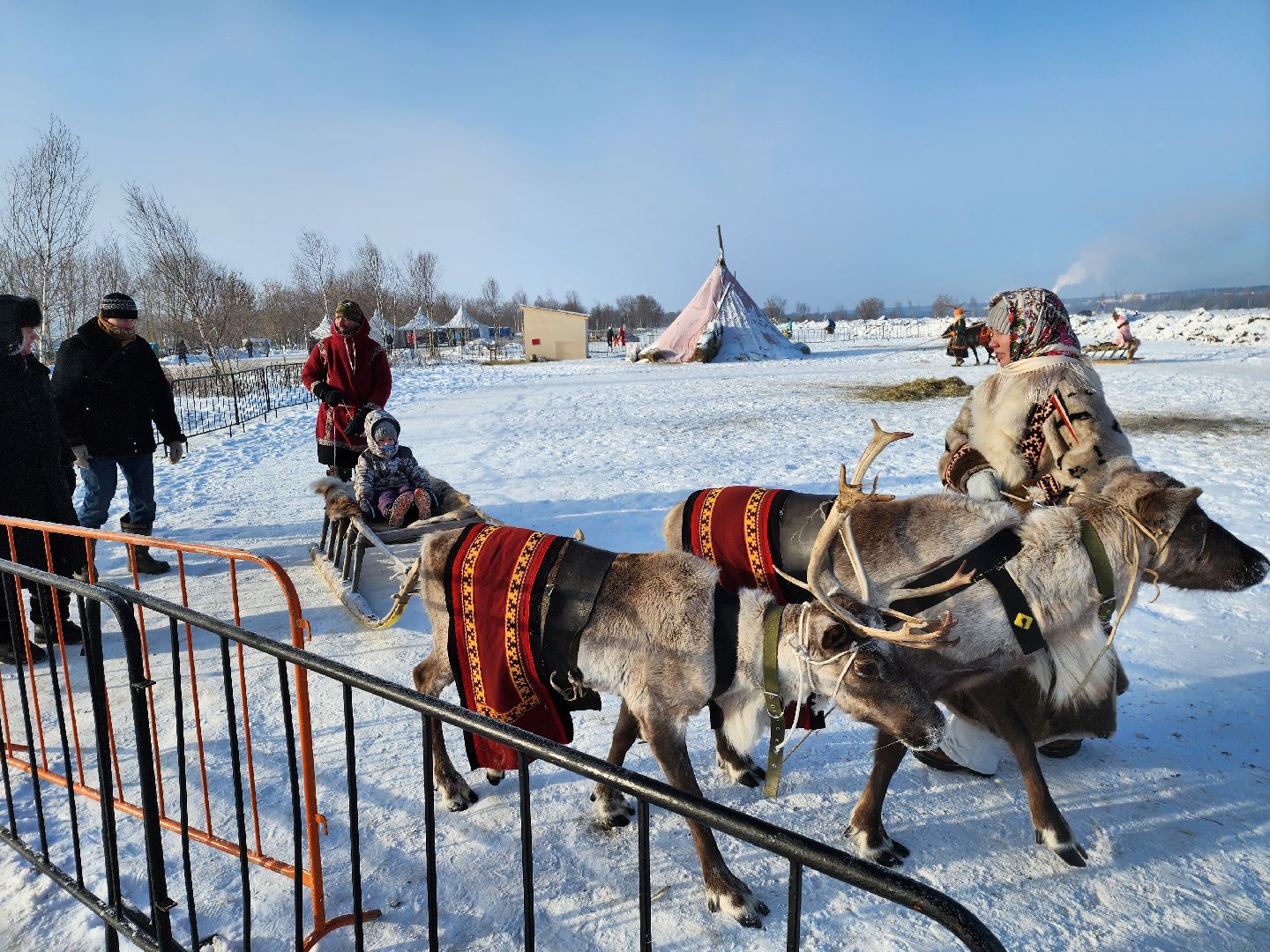 Серпухов, Подмосковье, Рождественские елки Федерации бокса РФ, дети,