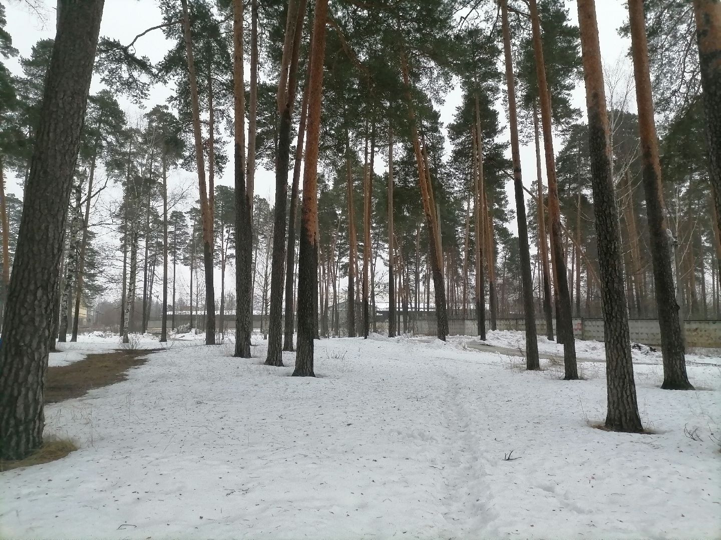 орехово зуево, ледовая арена, хоккей,
