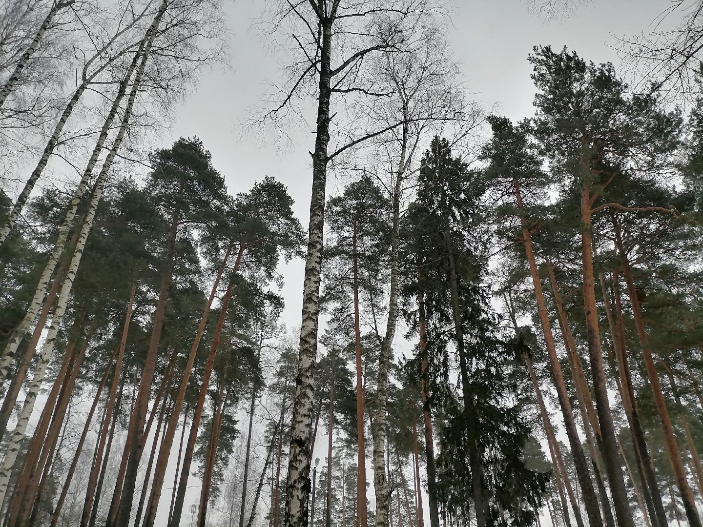 орехово зуево, ледовая арена, хоккей,
