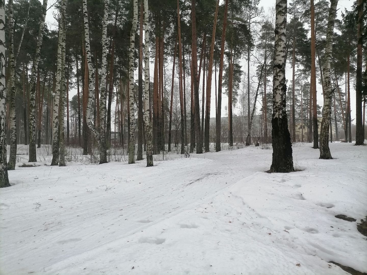 орехово зуево, ледовая арена, хоккей,