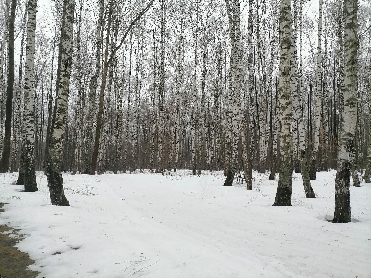 орехово зуево, ледовая арена, хоккей,