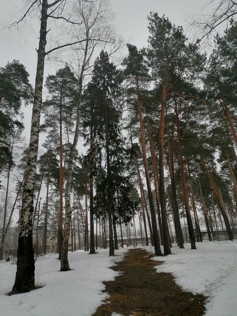 орехово зуево, ледовая арена, хоккей,