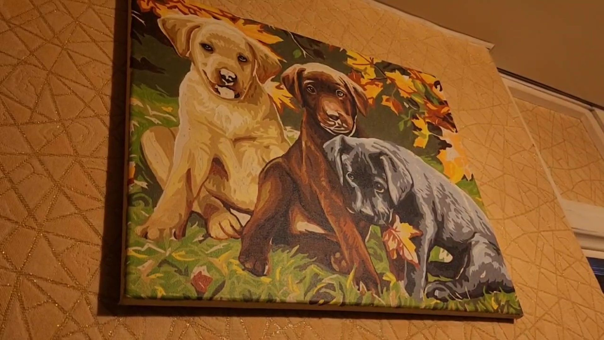 Реутов, ЖКХ, котельная, батареи, температура, теплоноситель,