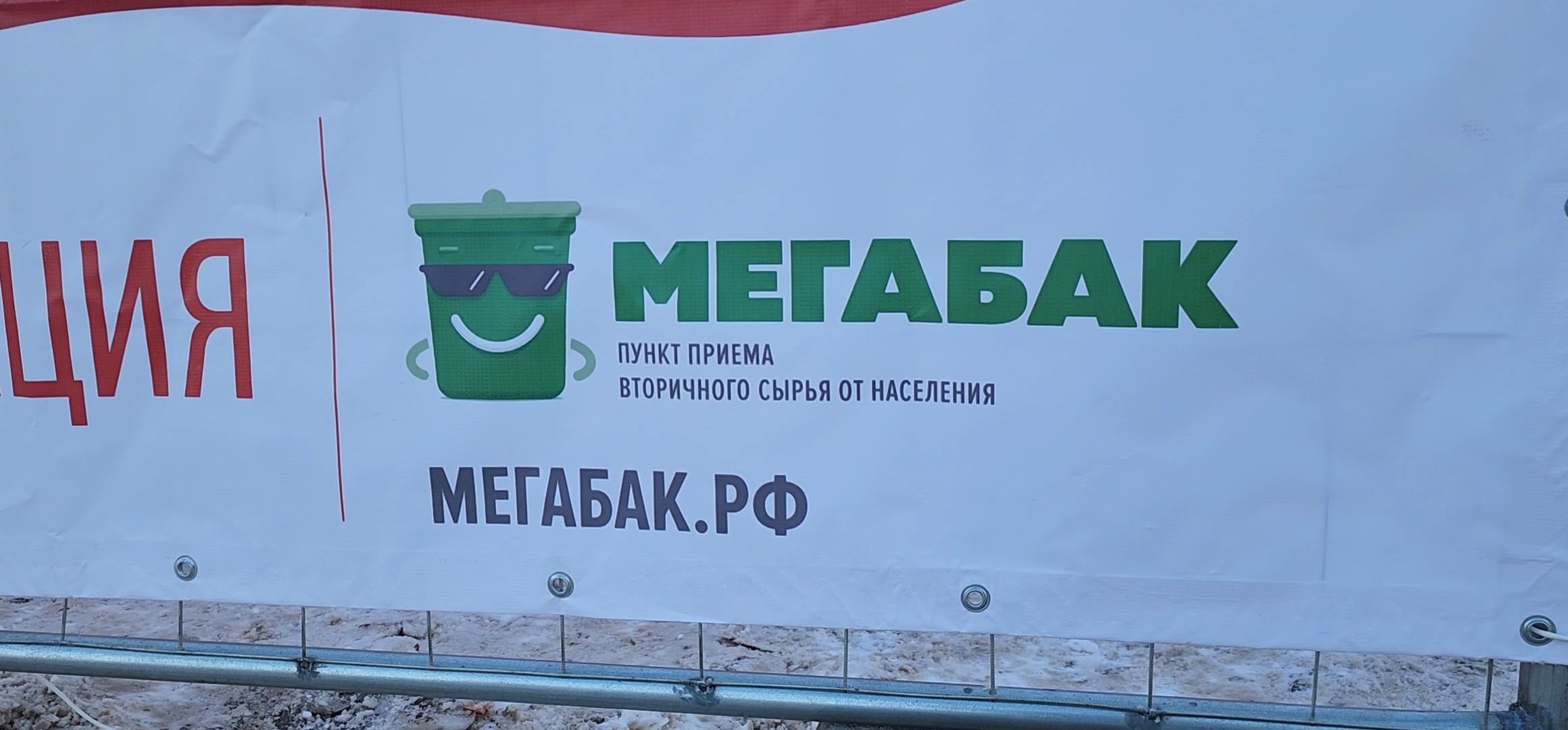 Коломна, новогодняя елка, экологическая акция, переработка, мегабак,