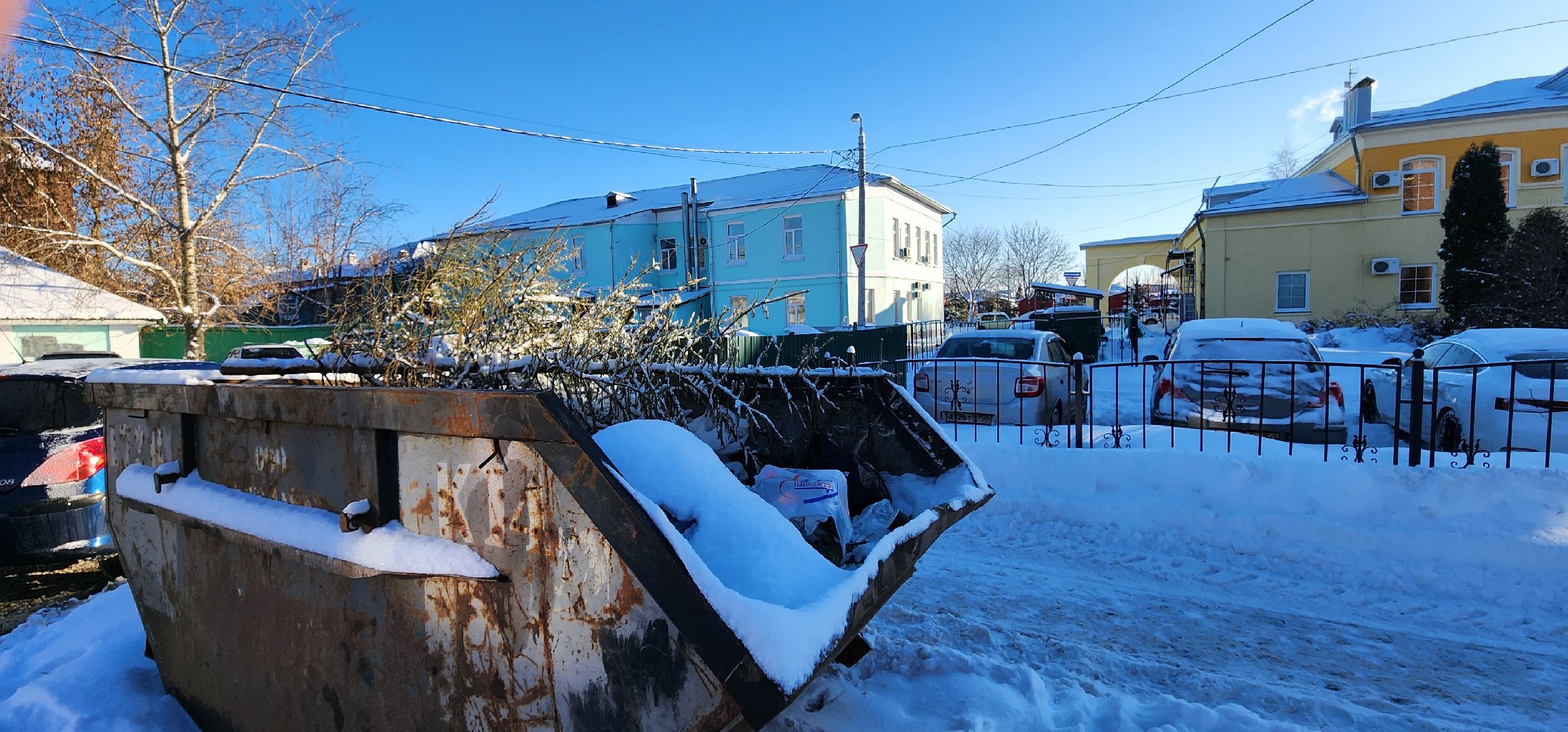 Коломна, новогодняя елка, экологическая акция, переработка, мегабак,