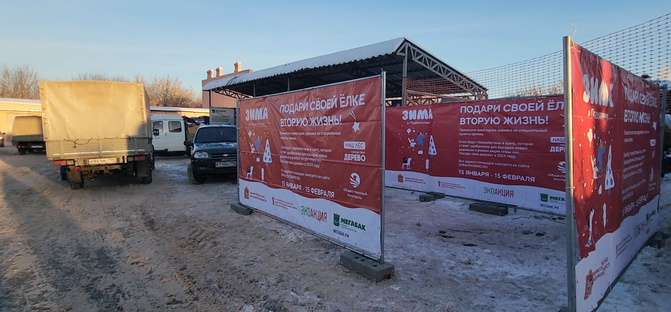 Коломна, новогодняя елка, экологическая акция, переработка, мегабак,