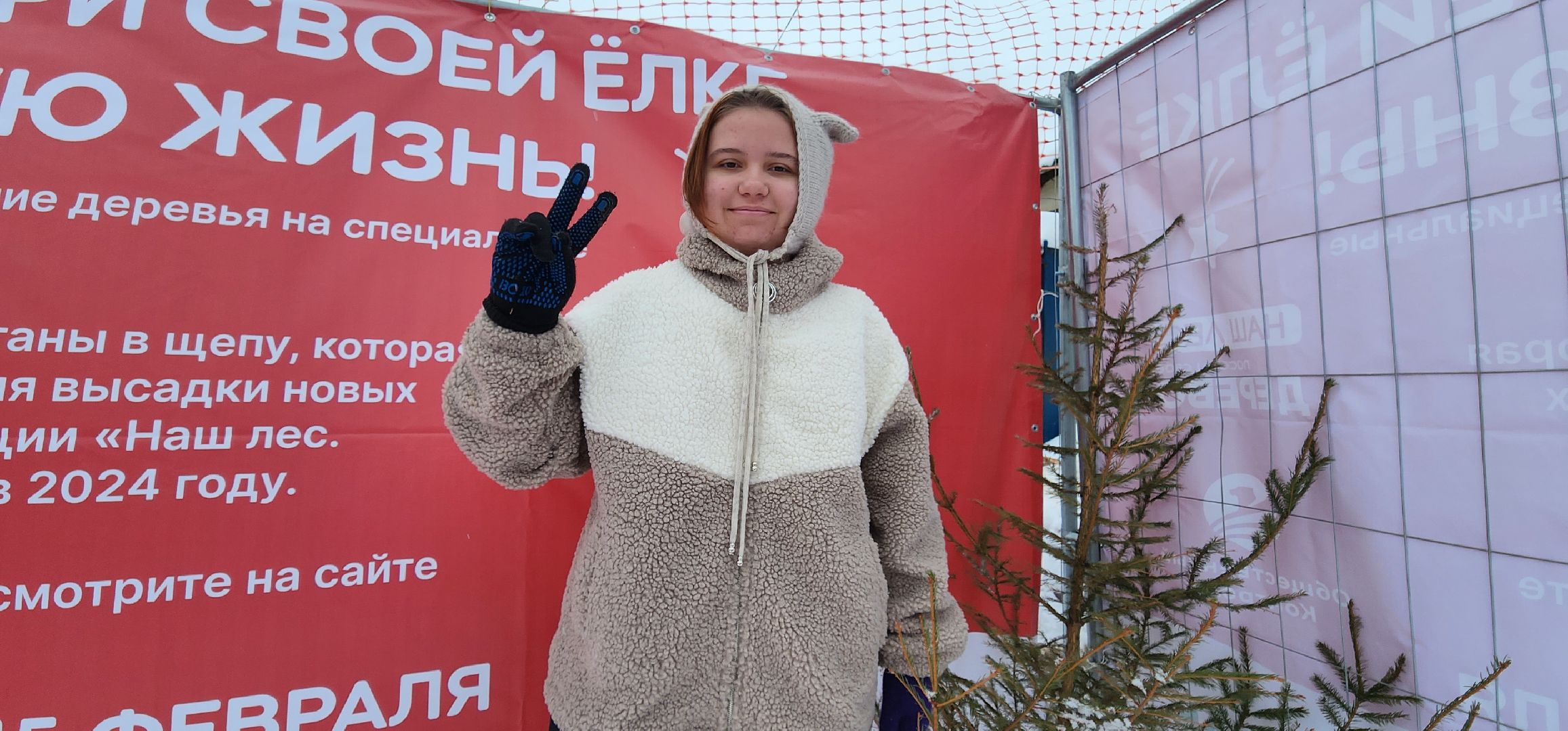 Коломна, новогодняя елка, экологическая акция, переработка, мегабак,