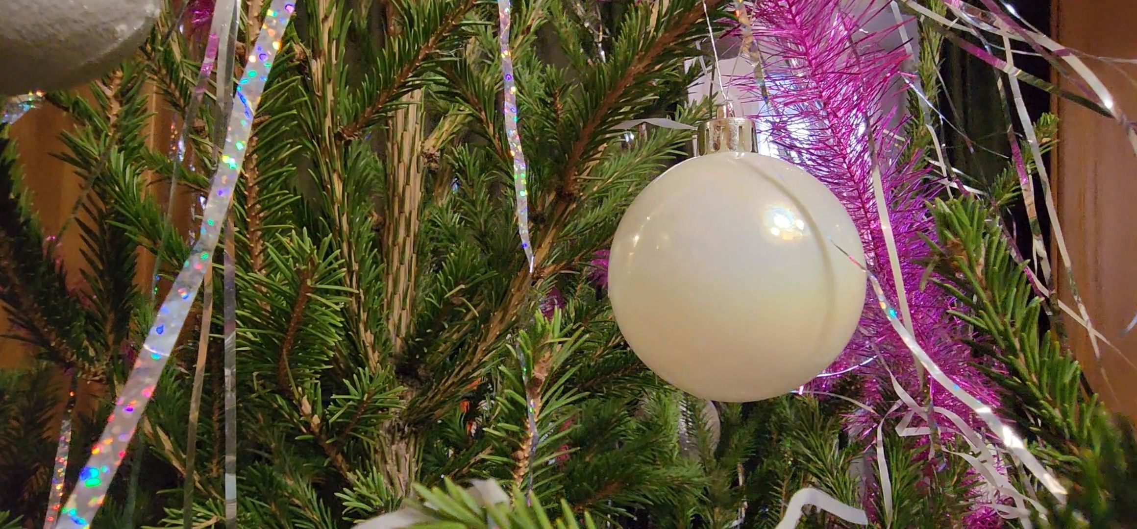 Коломна, новогодняя елка, экологическая акция, переработка, мегабак,