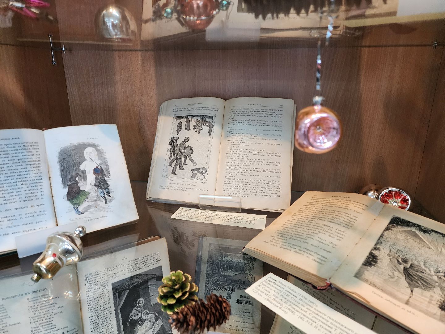 красноармейск, г.о. пушкинский, музей книги, библиотека,