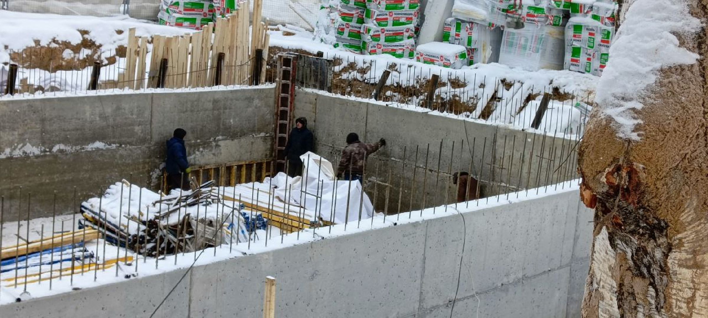 Дмитров, Парк Березовая роща,Минблаго,