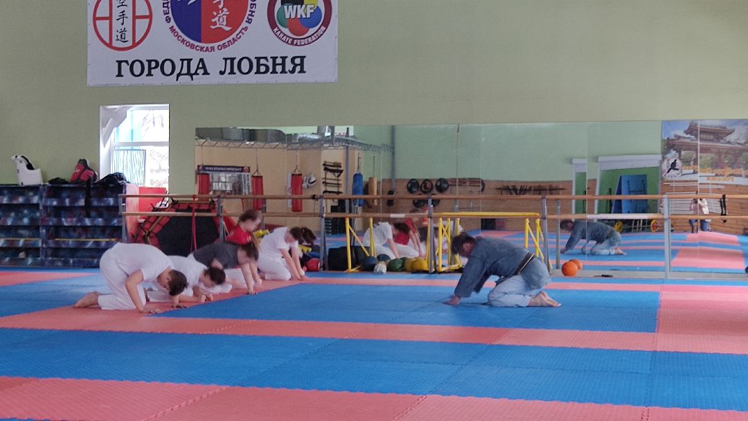 Лобня, спорт, каратэ