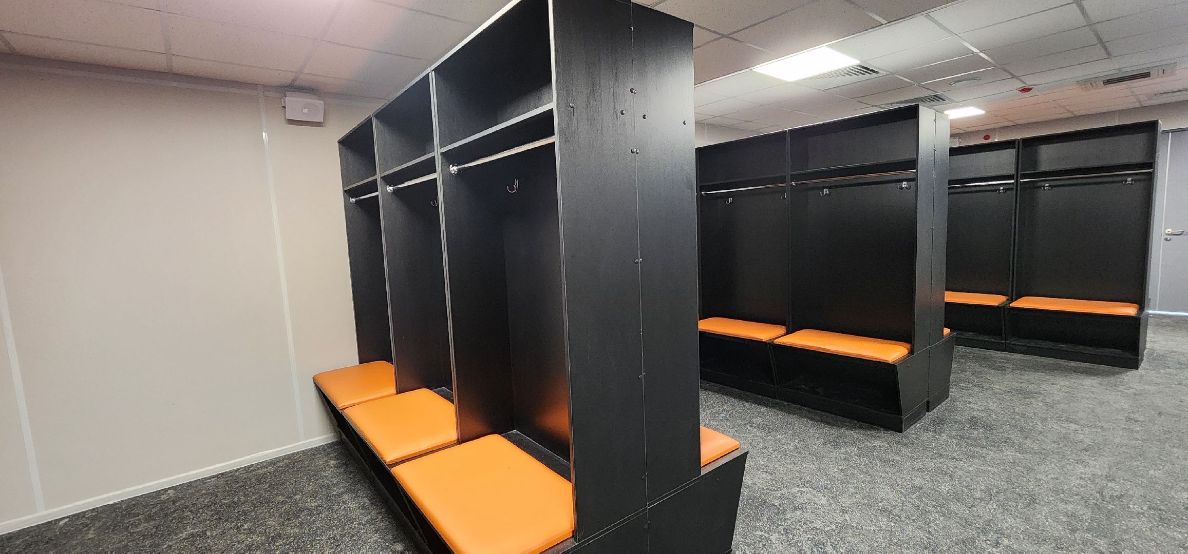 ледовая арена, футбольный манеж, спорт, Домодедово,