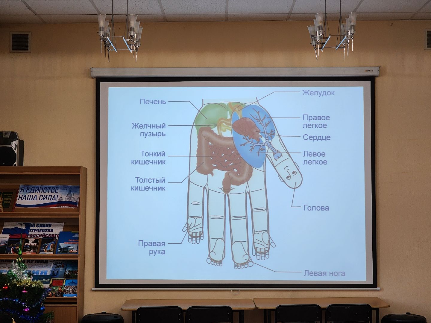 раменское, медицина, школа здоровья раменской больницы, волшебные точки на руках,