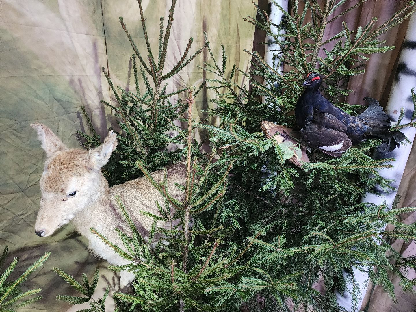 Серпухов, подмосковье, культурный код, парки Серпухова, парк имени олега степанова,