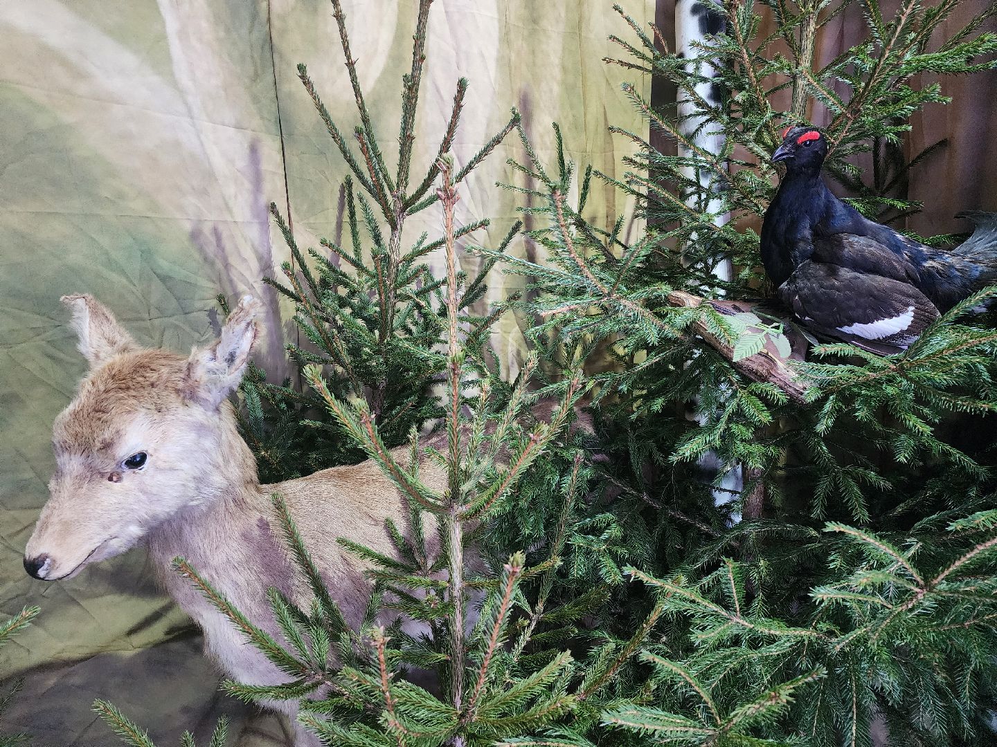 Серпухов, подмосковье, культурный код, парки Серпухова, парк имени олега степанова,