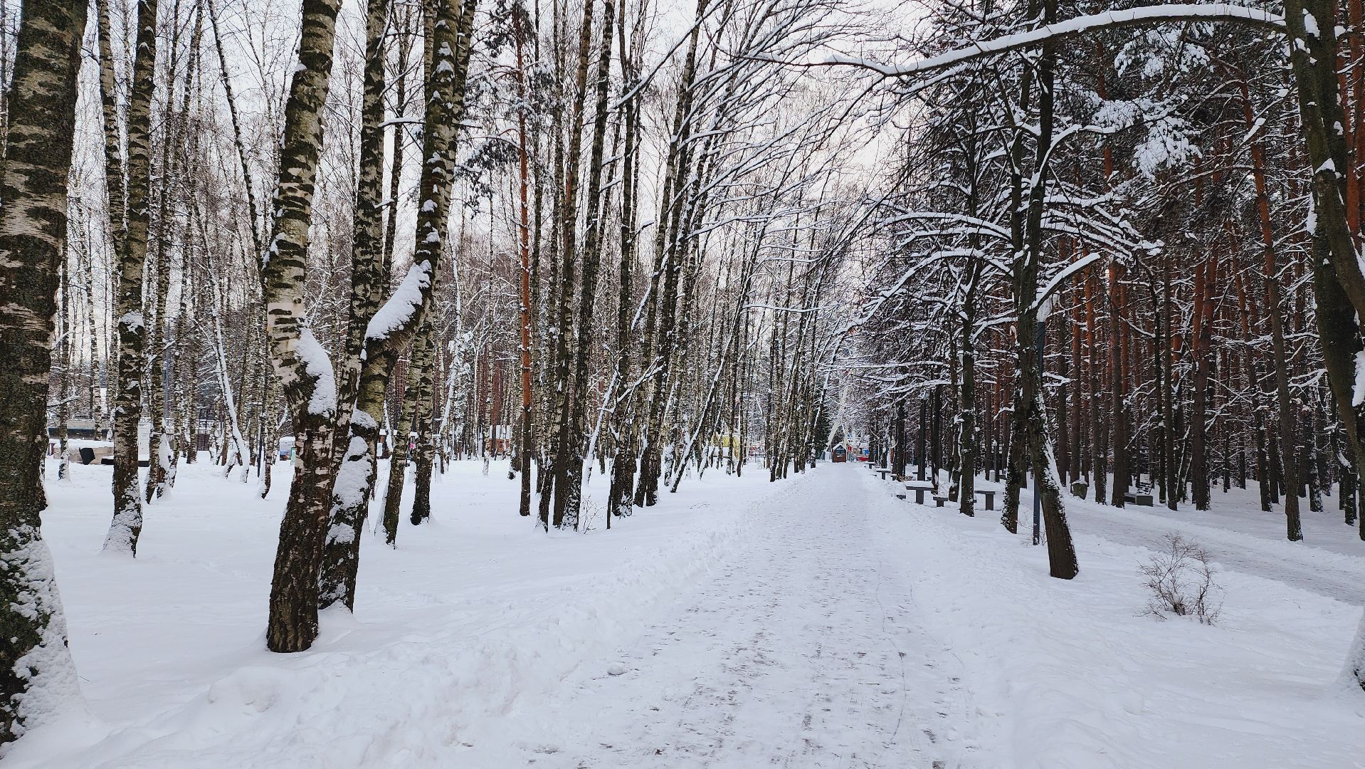домодедово, зима в подмосковье, безопасная зима, ЖКХ, коммунальные службы, дорожные службы, уборка снега, сильный снегопад, уборка территорий, снегоуборочные машины, спецтехника,