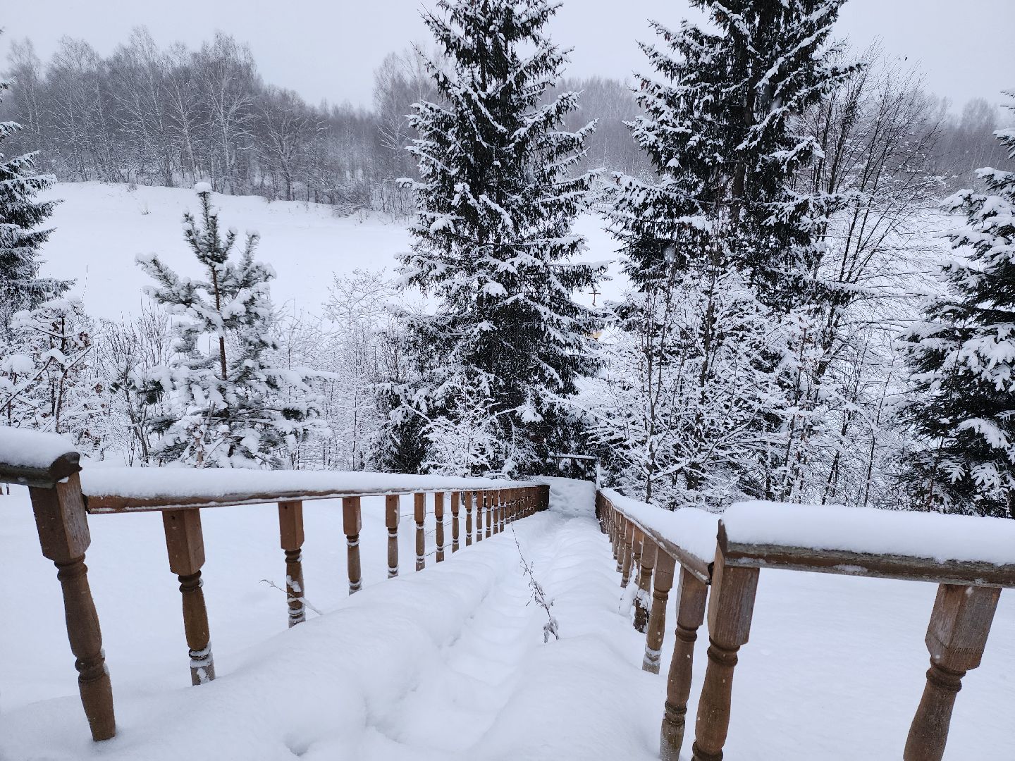 Крещение Господне, Крещенские купания, Купель, праздник, Безопасность, руза, рузский городской округ,