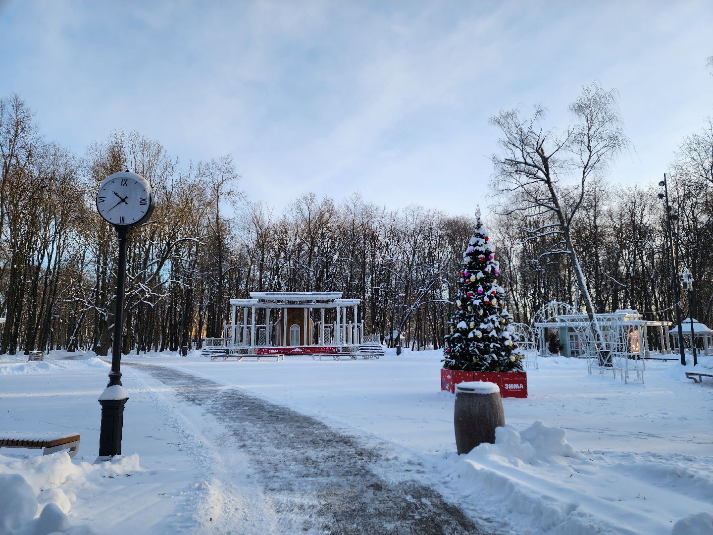воскресенск, туризм, парки подмосковья, парк кривякино, усадьба кривякино, жители, зима в подмосковье,